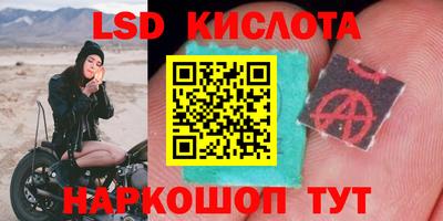 амфетамин Гай