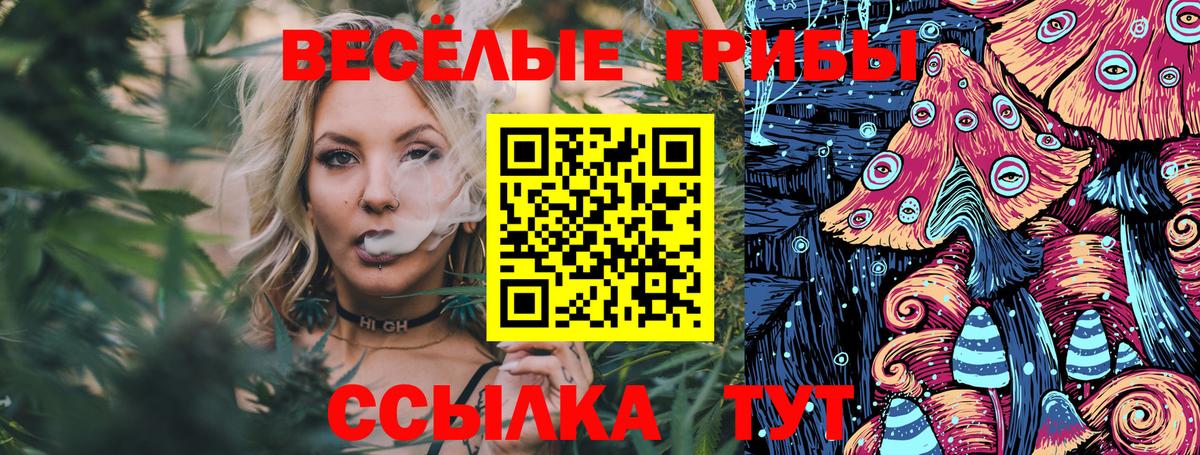 Галлюциногенные грибы прущие грибы  Вход с VPN  Черняховск 