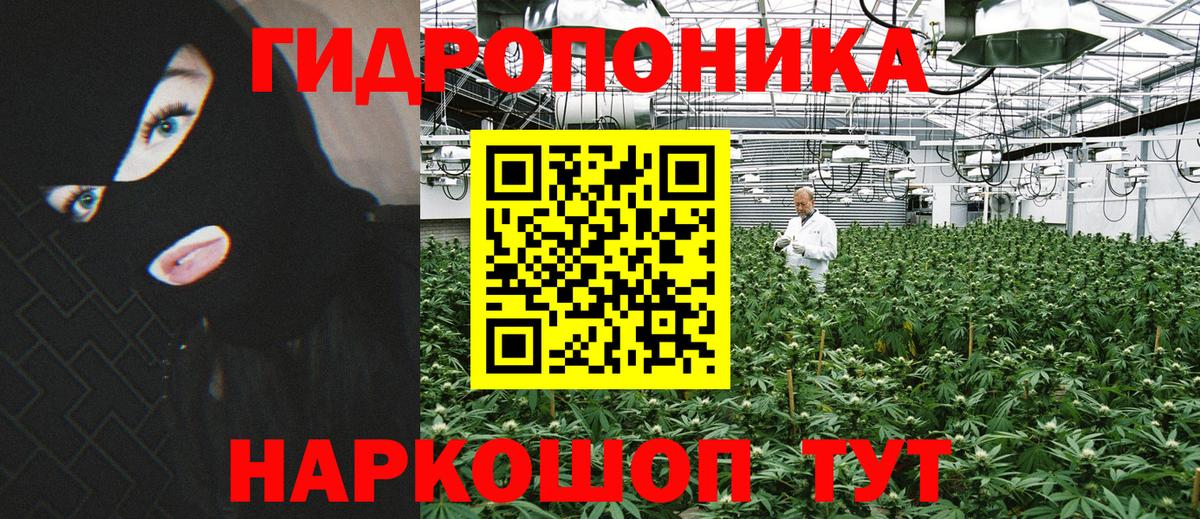МАРИХУАНА индика  Конопля THC 21%  Черняховск  Вход с VPN 